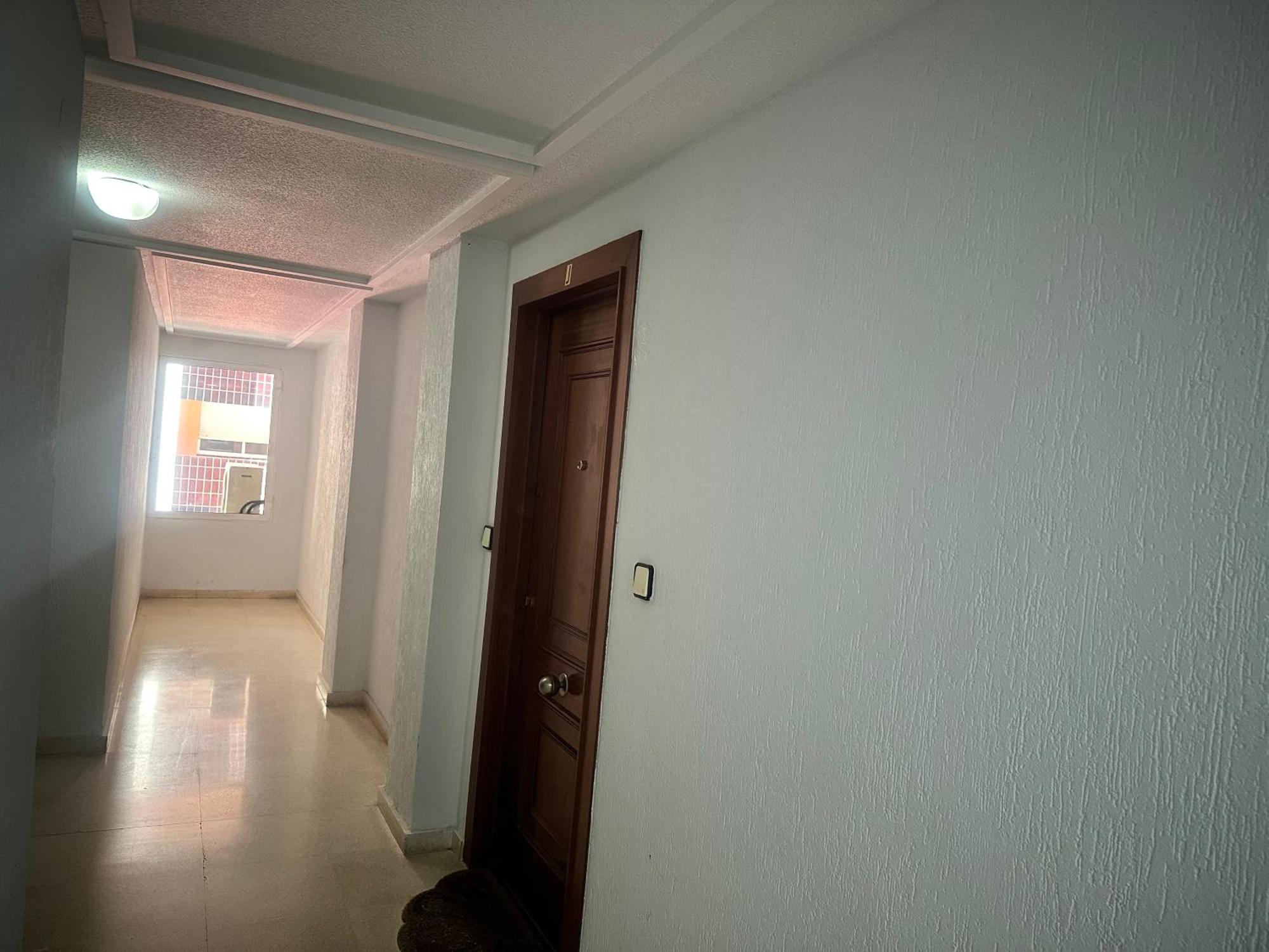 Homely Apartments Habaneras Torrevieja Eksteriør billede
